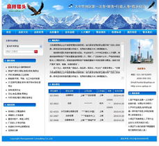 專業(yè)鑄就卓越 上海網站建設公司成功案例與信息技術咨詢價值